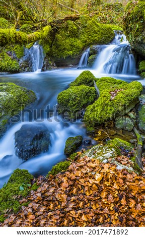 Waterfall stream on mossy stones. Mossy rocks water flow. Stream on mossy rocks. Autumn cold creek in green moss