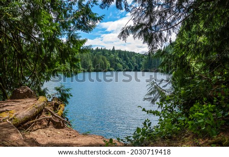 The beach at the forest lake. Forest lake view. Forest lake beach. Lake in forest
