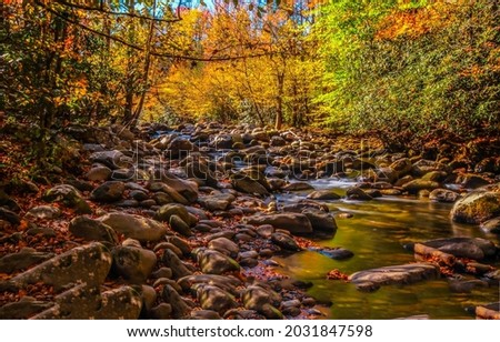 Forest stream in autumn landscape. Autumn forest creek. Autumnal background. Autumn forest stream