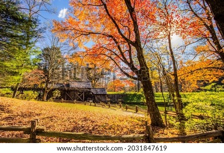 Autumn sunny day in park. In autumn park. Autumnal landscape in autumn park. Autumn scene
