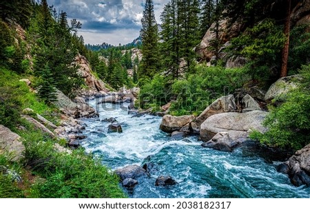 A stormy mountain river in the forest. River in forest. Mountain forest river wild. Forest river