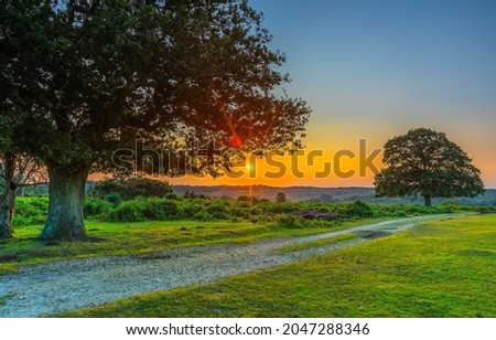 Dawn over a rural road. Early morning rural sunrise. Nature at dawn. Sunrise dawn