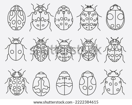ladybug outline icon set .ladybird line art doodle illustration collection