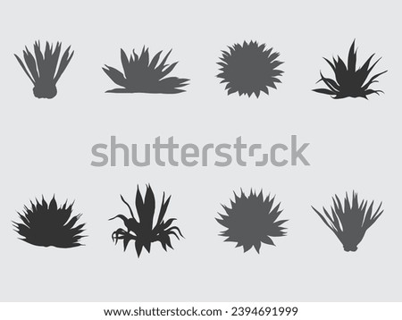 Similar – Image, Stock Photo Blooming desert agave in the Anza Borrego State Park, Caifornia