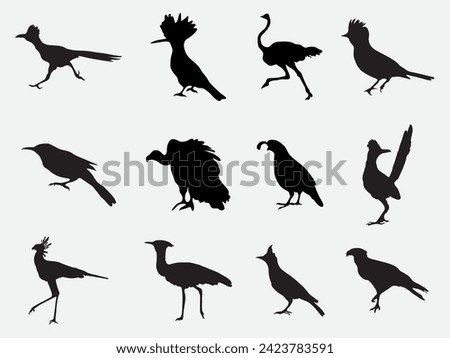 set of desert bird silhouette from around the planet.wild desert bird illustration