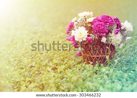 Flowers Basket in wicker baskets