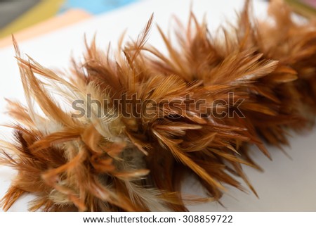 Feather brush,For cleaning, dusting