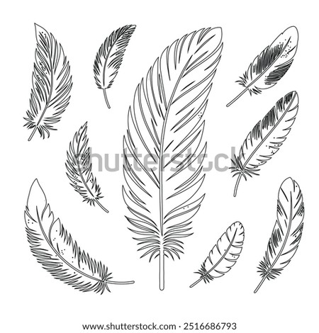 One continuous line drawing of bird feather. Writer and poetry symbol logo in simple linear style, feather, bird, quill, plume, pen, wing, fluff. Isolated image hand drawn