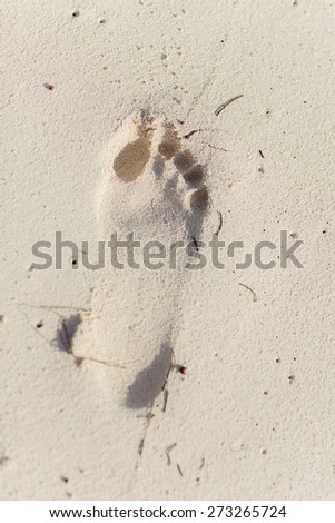 Single foot print on beach all natural