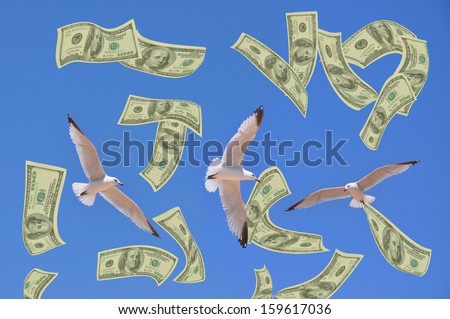 Seagulls Flying Blue Sky One Hundred Dollar Bills Blowing Floating