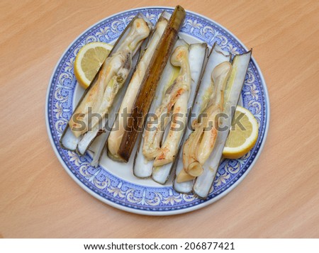 Navajas (Razor Clam) Pan Grilled. Mediterranean Shellfish on plate with lemon slice on wood table