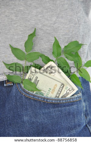 Green Leaves American Currency Cash in Blue Jean Denim Pocket