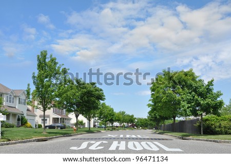 School Crossing Speed Bump Suburban Neighborhood Sunny Blue Sky Beautiful Day