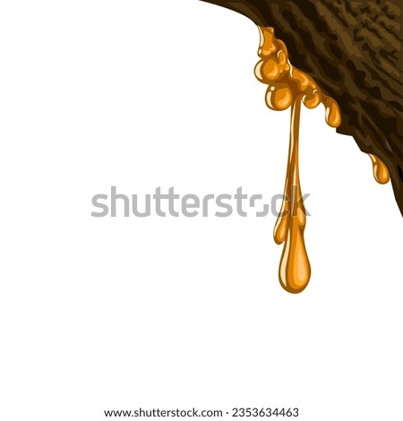 Vector illustration, pine tree resin, isolated on white background.