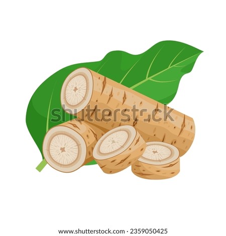 Vector illustration, burdock root, Arctium lappa plant root, isolated on white background.