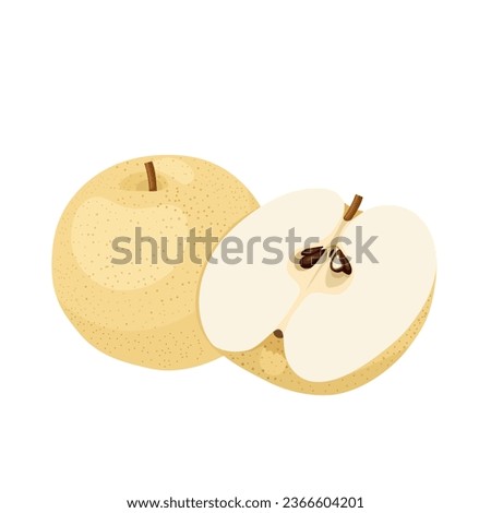 Vector illustration, Pyrus pyrifolia, known as Japanese pear or Chinese pear, isolated on white background.