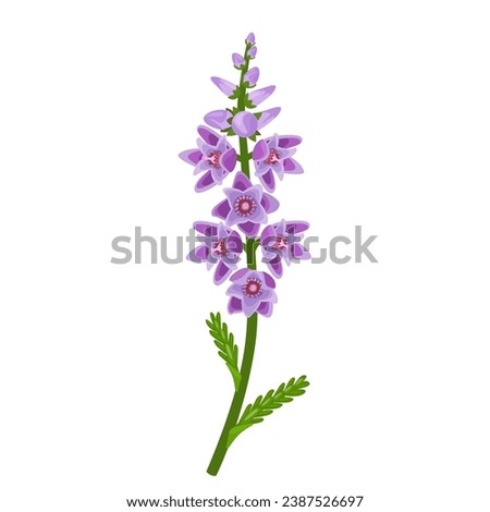 Similar – Image, Stock Photo Flowering heather as background