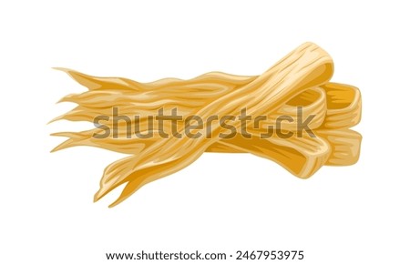 Vector illustration of tofu skin, yuba, beancurd skin, or beancurd sheet, isolated on white background.