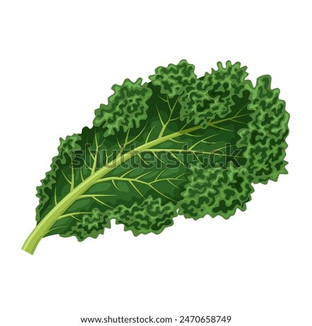 Similar – Image, Stock Photo garden salad Green salad