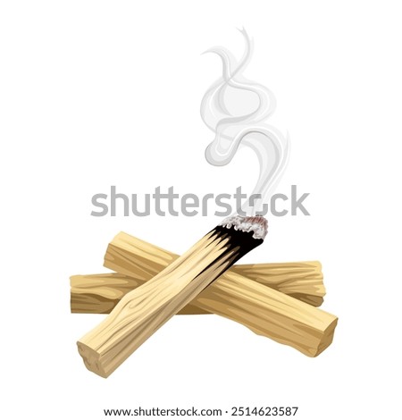 Vector illustration of palo santo or holy stick, aromatherapy wood with scientific name bursera gravieolens, isolated on white background.