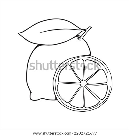 this is a cute and beautiful Lemon line art images, Lemon outline drawing, Lemon vector art and illustrations art