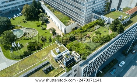 Image, Stock Photo roof greening