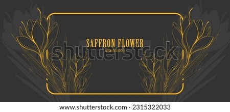 Crocus or Saffron flower. Saffron flower vector. Saffron flower isolated on grey background. Vector hand drawing wildflower. Saffron illustration. Good for packaging design, labels or decoration