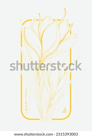 Crocus or Saffron flower. Saffron flower vector. Saffron flower isolated on white background. Vector hand drawing wildflower. Good for packaging design, labels or decoration.