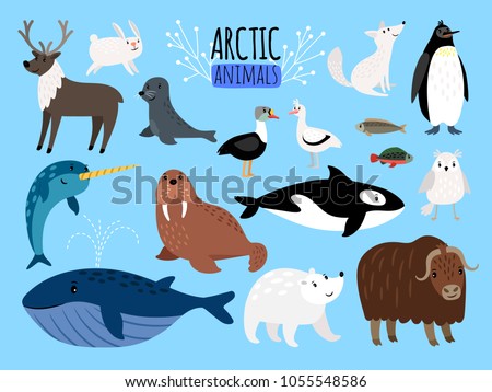 Arctic animals. Cute animal set of Arctic or Alaska vector illustration for education, penguin and polar bear, fox and reindeer isolated on white background