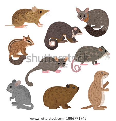 African carnivores animals. Cartoon image of wildlife creatures, set of resident of zoo, vector illustration of savannah characters isolated on white background