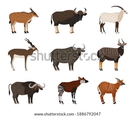 African wildlife characters set. Cartoon wild residents of zoo, image of savannah creatures, vector illustration set of animal isolated on white background