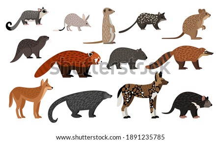 African animals set. Cartoon sugar glider, bilby quoll quokka otter red panda binturong coati dingo zoo creatures, wildlife characters collection isolated