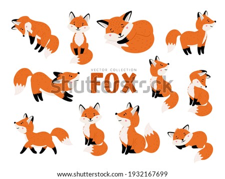 Funny fox set. Cartoon forest animals, mammals with cute emotions on faces, vector illustration of orange foxes of wildlife around logo isolated on white background