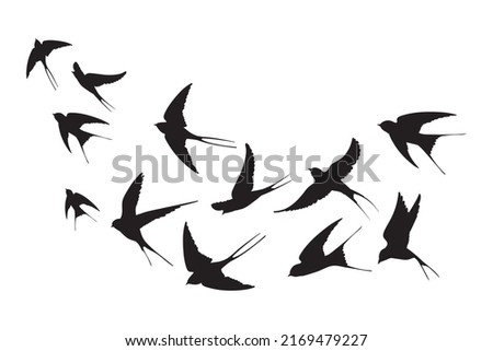 Flock of swallows. Silhouettes crowd flying birds away sky, flyingof sea free black bird aloft swift flight swarm swallow above cloud skyline, silhouetts neat vector illustration of flock bird