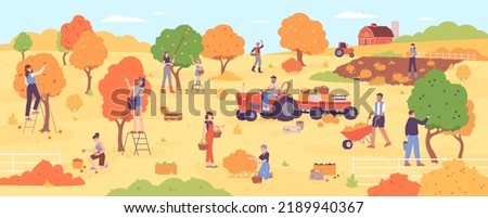 People on autumn harvesting. Farm workers picking agriculture fall harvest from garden planting tree, group people on ladder pick season fruit orchard, vector illustration of agriculture farm harvest