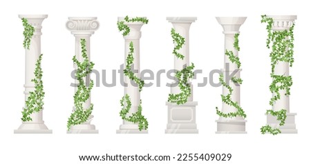 Similar – Image, Stock Photo Vine Architecture