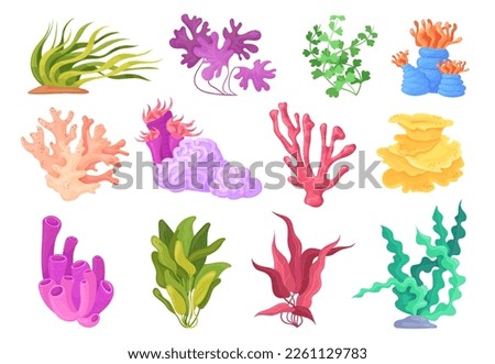 Coral Reef Clipart | Free download on ClipArtMag