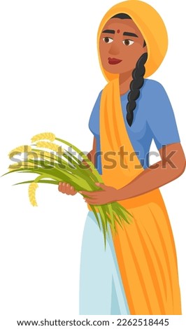 Indian woman hold rice crops. Female farmer isolated on white background