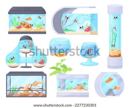 Home aquariums. Square bowl jar glass aquarium tank with underwater animals fish or reptile pet and sea plants decorations, water house, cartoon neat vector illustration of aquarium glass for fish