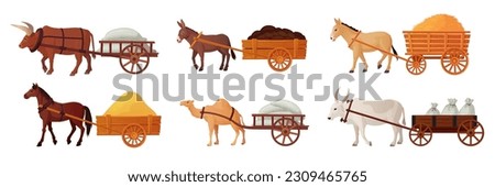 Draft animals cart. Yoke oxen pulling carts, village horse farm power cattle for work, indian bull historical medieval transport asian cow ox working, ingenious vector illustration of cart animals