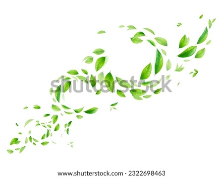 Realistic flying foliage. Natural falling of green leaves or leaf fly on air stream with blurry effect, summer forest vortex wind fresh herbal greenery, exact vector illustration of falling leaf