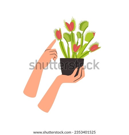 Houseplant carnivorous Venus flytrap in a flower pot with womans hands. Vector of houseplant and flower, flora plant carnivorous, flytrap and venus illustration