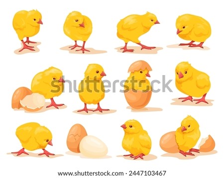 Cartoon hatched chicks. Hatching chick with little wings, baby chicken birth chickens brood easter farm bird cute babies, cartoon hen newborn born in egg neat vector illustration of cartoon chick egg