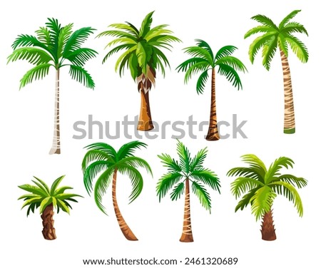 Cartoon palm trees. Palmtrees coconut palms coco tree leaves hawaii miami egypt brazil beach tropical forest island natural umbrella, ingenious vector illustration of tropical palm, jungle hawaii