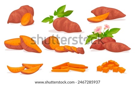 Sweet potato yam. Japanese potatoes tuber with purple peel, batata veggie healthy food whole and sliced vegetables sweets root, organic vegan meal cartoon neat vector illustration