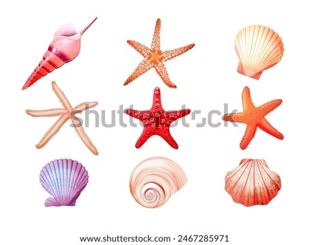 Realistic seashells starfish. 3d star fish clam conch seashell coastal beach travel elements, sea shells underwater aquarium marine animal mollusk scallop vector illustration of marine ocean shell