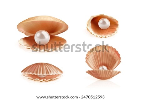 Realistic pearl shell. 3d oysters shells closeup, opened closed oyster seashell with white pearls, isolated concha cockleshell sea marine open scallop exact vector illustration of shell ball jewelry