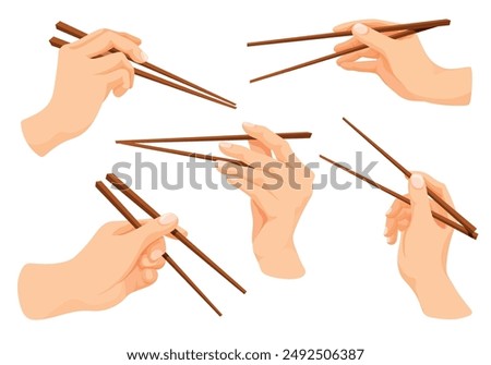 Hand hold chopsticks. Hands holding chopstick for eat asian seafood, japanese chop stick japan chinese sushi food eating tool in arm, oriental cartoon neat vector illustration authors graphics