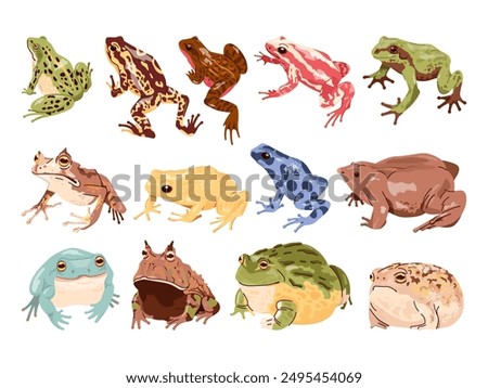 Cartoon frog toads. Exotic frogs and poison toad amphibian animal wildlife, tropical reptiles swamp creature forest pond wild reptiles with big eyes, swanky vector illustration authors graphics