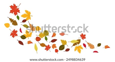 Autumn falling leaves. Flying orange foliage from tree on white background isolated vector illustration authors work